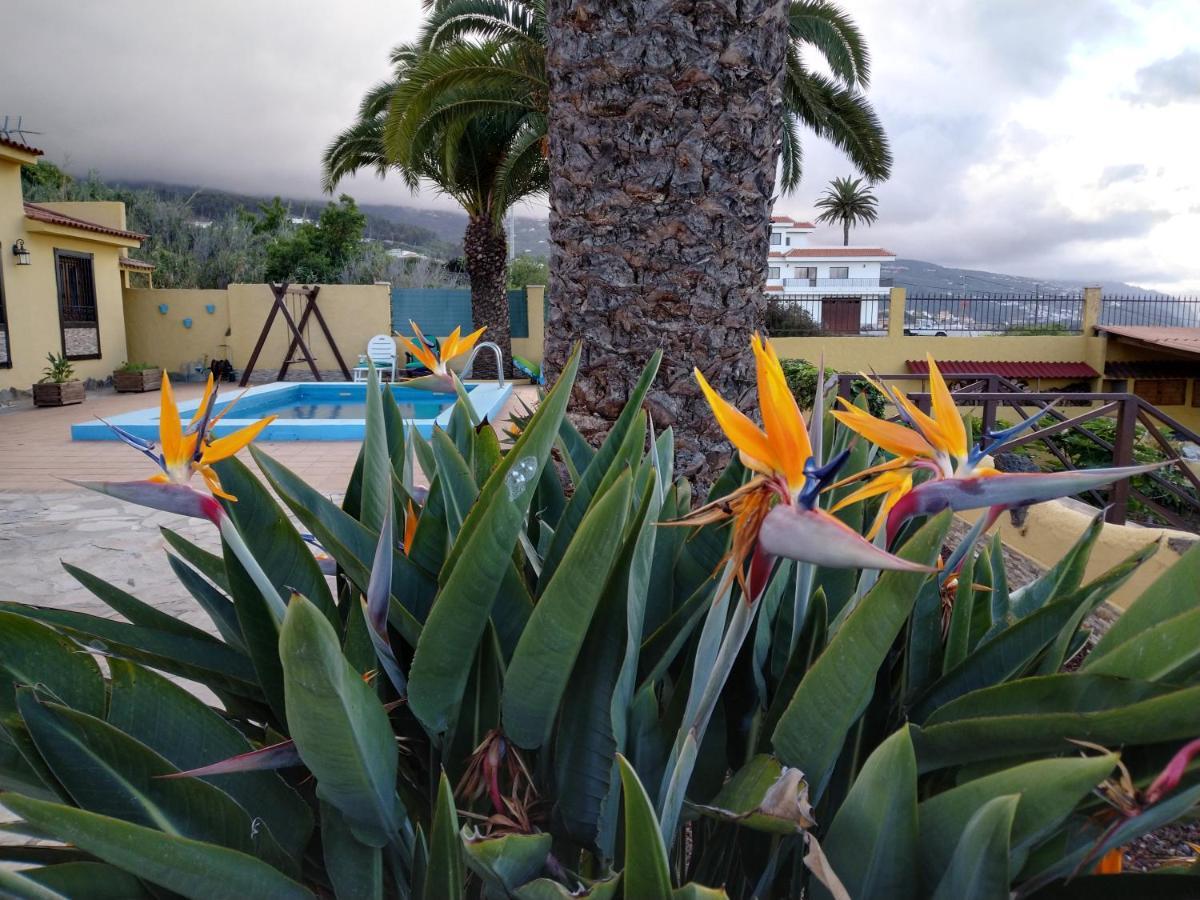 Apartamento La Costa Santa Cruz de Tenerife Exterior foto